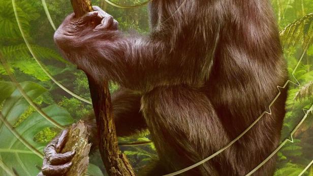 Ein Schimpanse sitzt auf einem Ast und schreit in einem Dschungel.