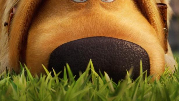 Das Filmplakat für „Dug-Tage“ zeigt den Gesichtsausdruck des Hundes Dug aus dem Film „Oben“.