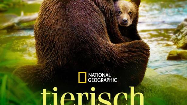 Eine Bärin umarmt ihr Junges am Ufer eines Flusses.