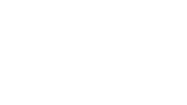 Das Bild ist komplett weiß.