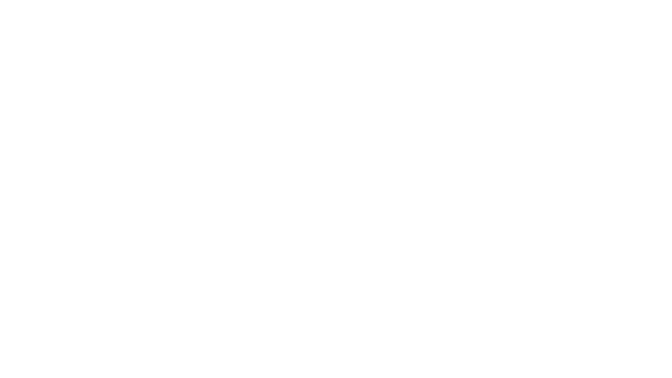 Das Bild ist komplett weiß.