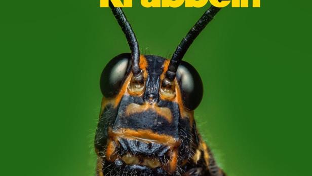 Nahaufnahme eines bunten Grashüpfers vor grünem Hintergrund.