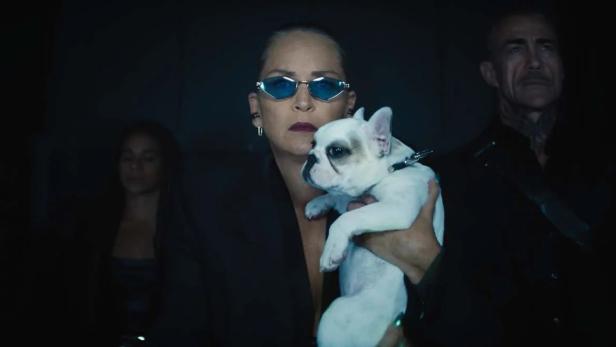 Sharon Stone hält als Gangsterchefin in „Nobody 2“ einen kleinen Hund in die Höhe.