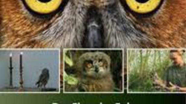 Das Cover des Films „Der Flug der Eule“ zeigt eine Nahaufnahme der Augen einer Eule.