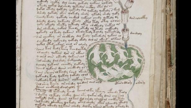 Das Titelblatt des Buches „Le Mystère du Manuscrit de Voynich“ von Klaus Steindl mit Illustrationen.