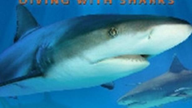 Mehrere Haie schwimmen in einem tropischen Ozean mit Korallenriffen.