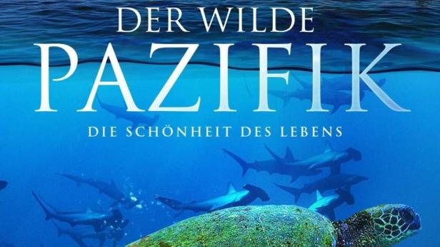 Das Cover des Films „Der wilde Pazifik“ zeigt eine Meeresschildkröte unter Wasser und Vögel über der Wasseroberfläche.