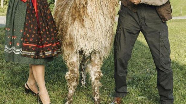 Eine Frau im Dirndl und ein Mann mit Hut umarmen ein Lama auf einer Wiese.