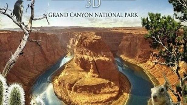 Der Grand Canyon Nationalpark mit einem Erdhörnchen im Vordergrund.