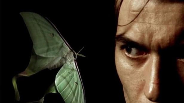 Ein Mann blickt auf einen grünen Nachtfalter vor dem Hintergrund des Filmtitels „Nuit Noire“.