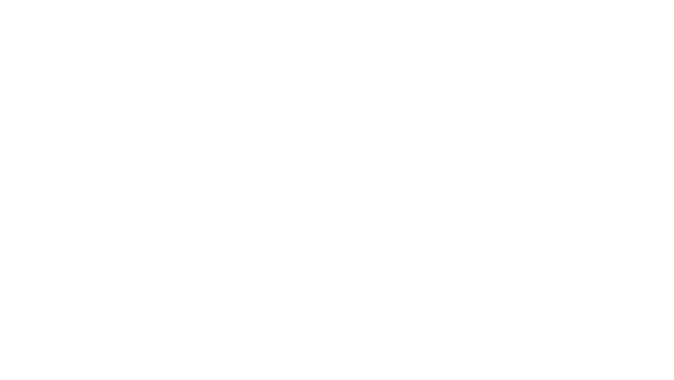 Das Wort „The Wedding“ und der Untertitel „Eine Hochzeit voller Lust“ in Weiß auf schwarzem Hintergrund.