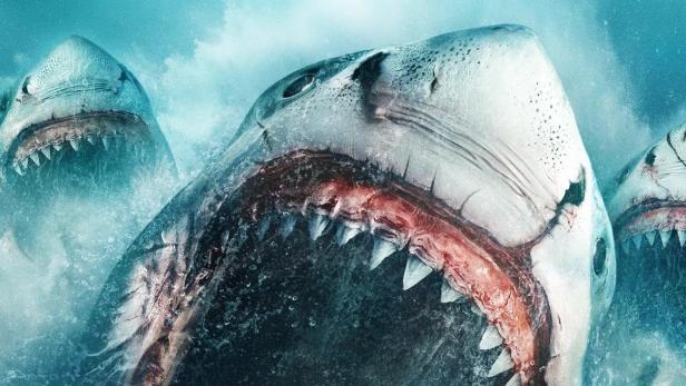 Das Filmplakat für „Megalodon: The Frenzy“ zeigt riesige Haie, die ein Schiff angreifen.