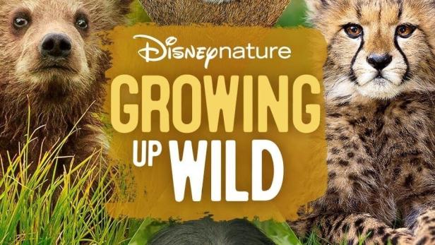 Aufwachsen in der Wildnis