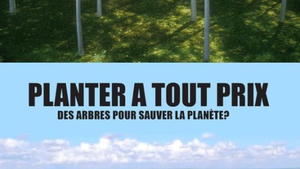 Planter à tout prix - Des arbres pour sauver la planète ?