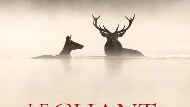 Das Flüstern der Wälder