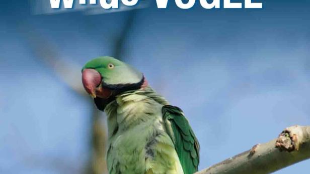 Deutschlands Wilde Vögel 2