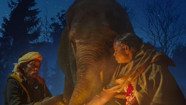 Die Elefantenflüsterer