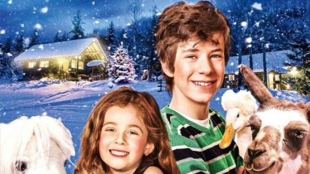 Eine tierische Weihnachtsgeschichte