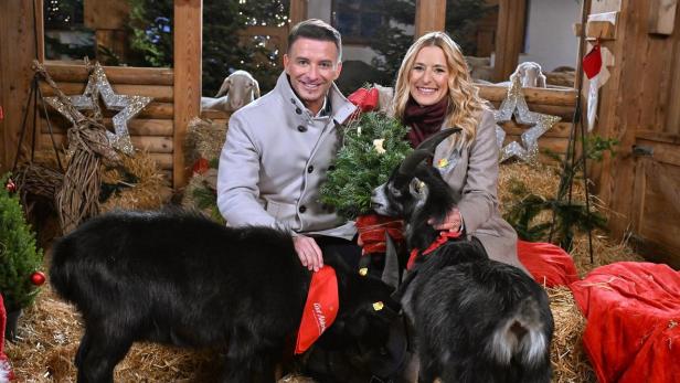 Moderatoren-Duo in weihnachtlich geschmücktem Stall mit zwei Tieren