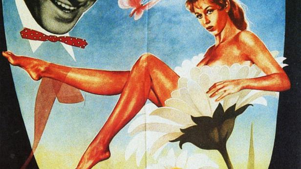 Das Gänseblümchen wird entblättert