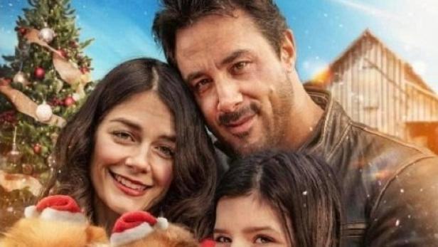 Welpen zu Weihnachten