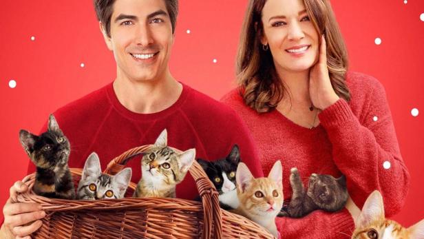 Neun Kätzchen zu Weihnachten - Eine samtige Bescherung 2