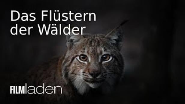 Das Flüstern der Wälder