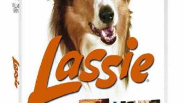 Lassie – Allein in der großen Stadt