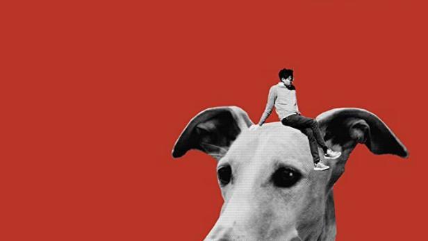 Selbstkritik eines bürgerlichen Hundes