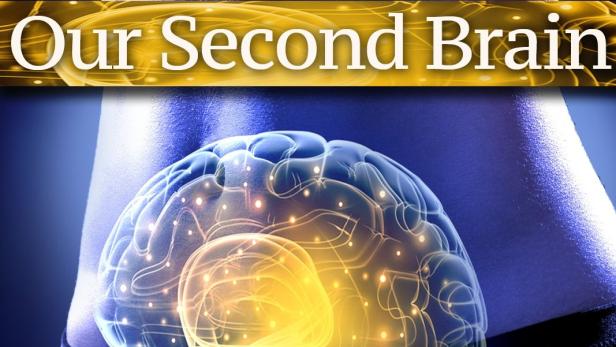 Der kluge Bauch – Unser zweites Gehirn
