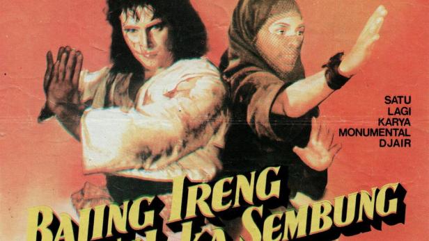 The Warrior and the Ninja