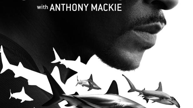 Der Strand der Haie mit Anthony Mackie: Golfküste