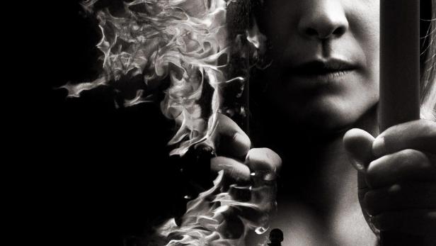 Ein Fall für Annika Bengtzon: Lebenslänglich