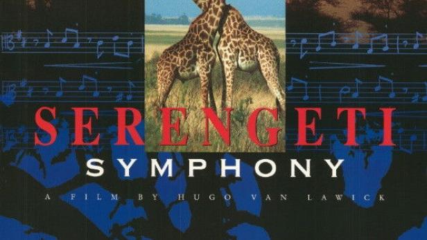 Serengeti - Circle of Life