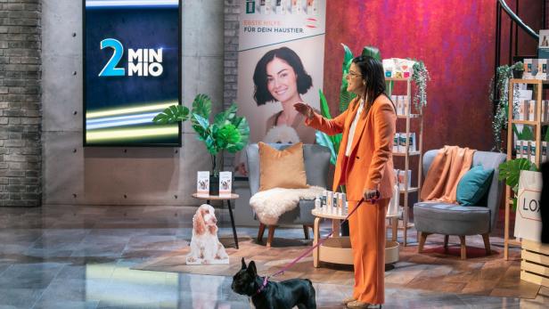 Hunde im "2 Minuten 2 Millionen"-Studio