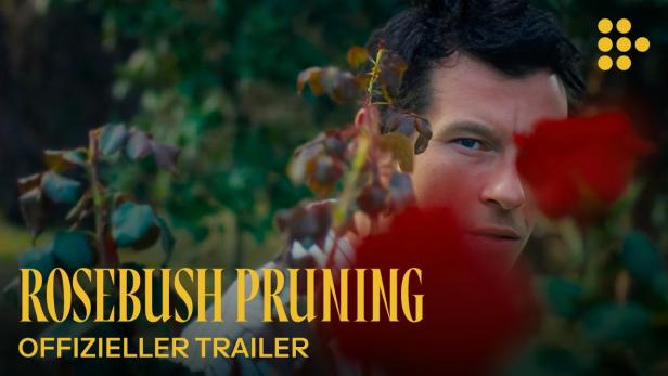 Rosebush Pruning