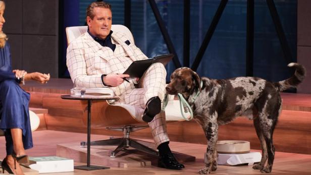 Ralf Dümmel begutachtet intelligenten Hundenapf 