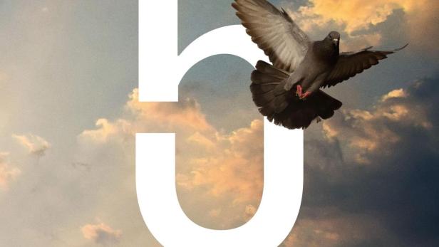 5 Seasons - eine Reise