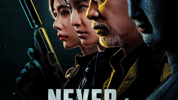 Never a Thief