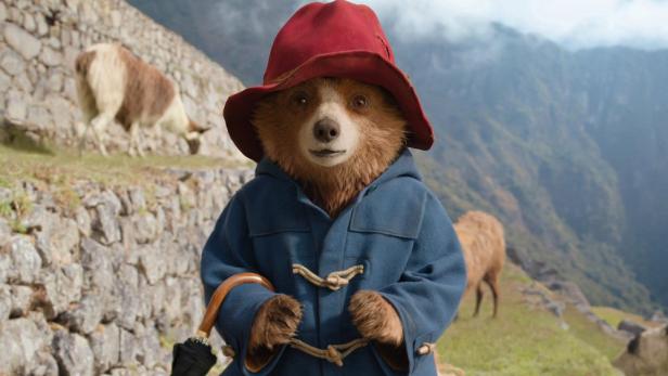 Paddington-Bär unterwegs in den Anden