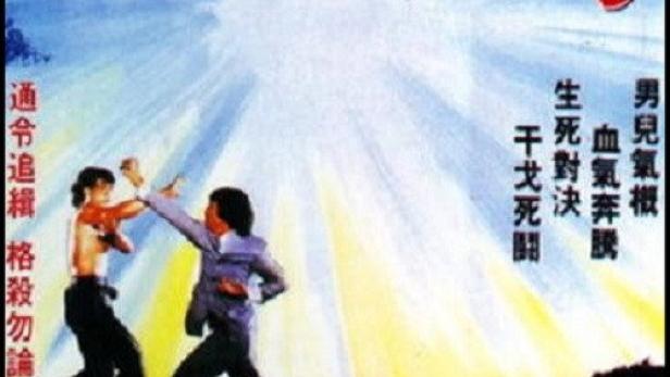 Die Rache des Kung Fu Tigers