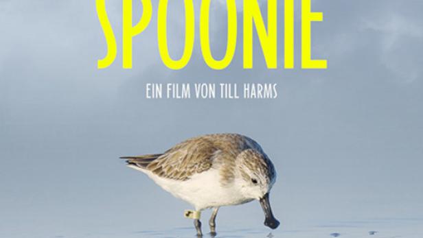 Saving Spoonie