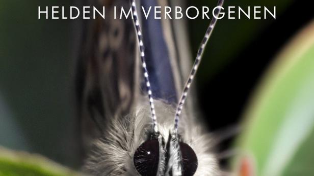 Insekten - Helden im Verborgenen