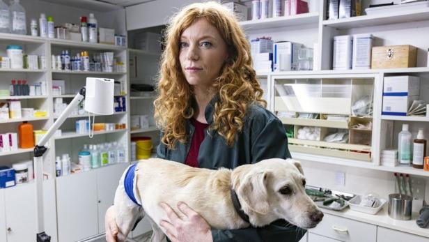 Eine Tierärztin mit rotem Haar hält einen hellen Hund mit einem Verband in einer Praxis vor Regalen mit Medikamenten.