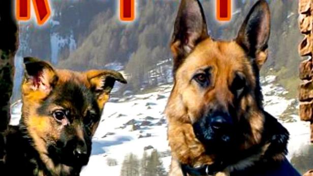 Rin Tin Tin - Ein Held auf Pfoten
