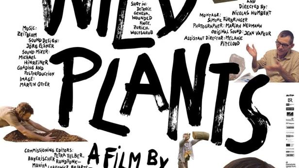 Wild Plants