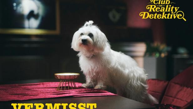Ein kleiner weißer Hund sitzt neben einem Futternapf auf einem Tisch, darüber steht der Schriftzug „Club der Reality Detektive“ und „VERMISST“.
