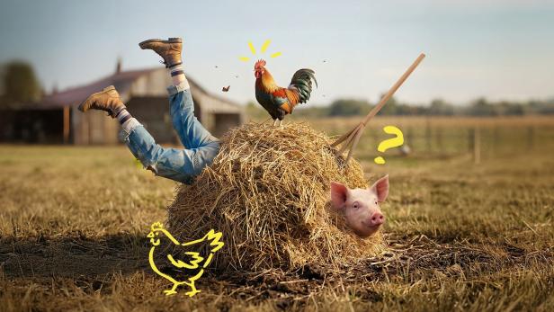 Eine Person steckt mit dem Kopf im Heuhaufen, während ein Hahn daraufkräht und ein Schwein daneben hervorschaut.