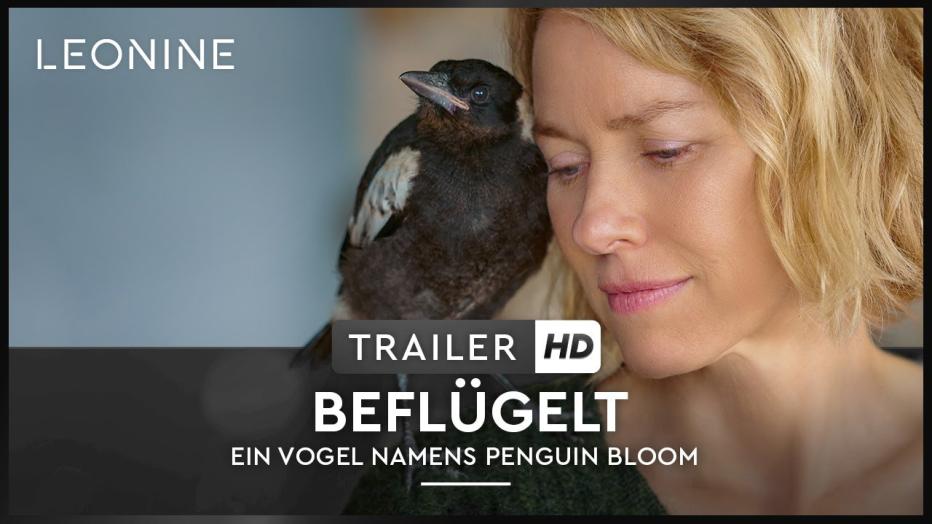 Beflügelt Ein Vogel namens Penguin Bloom film.at
