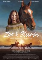 Filmplakat zu "Zoe & Sturm"